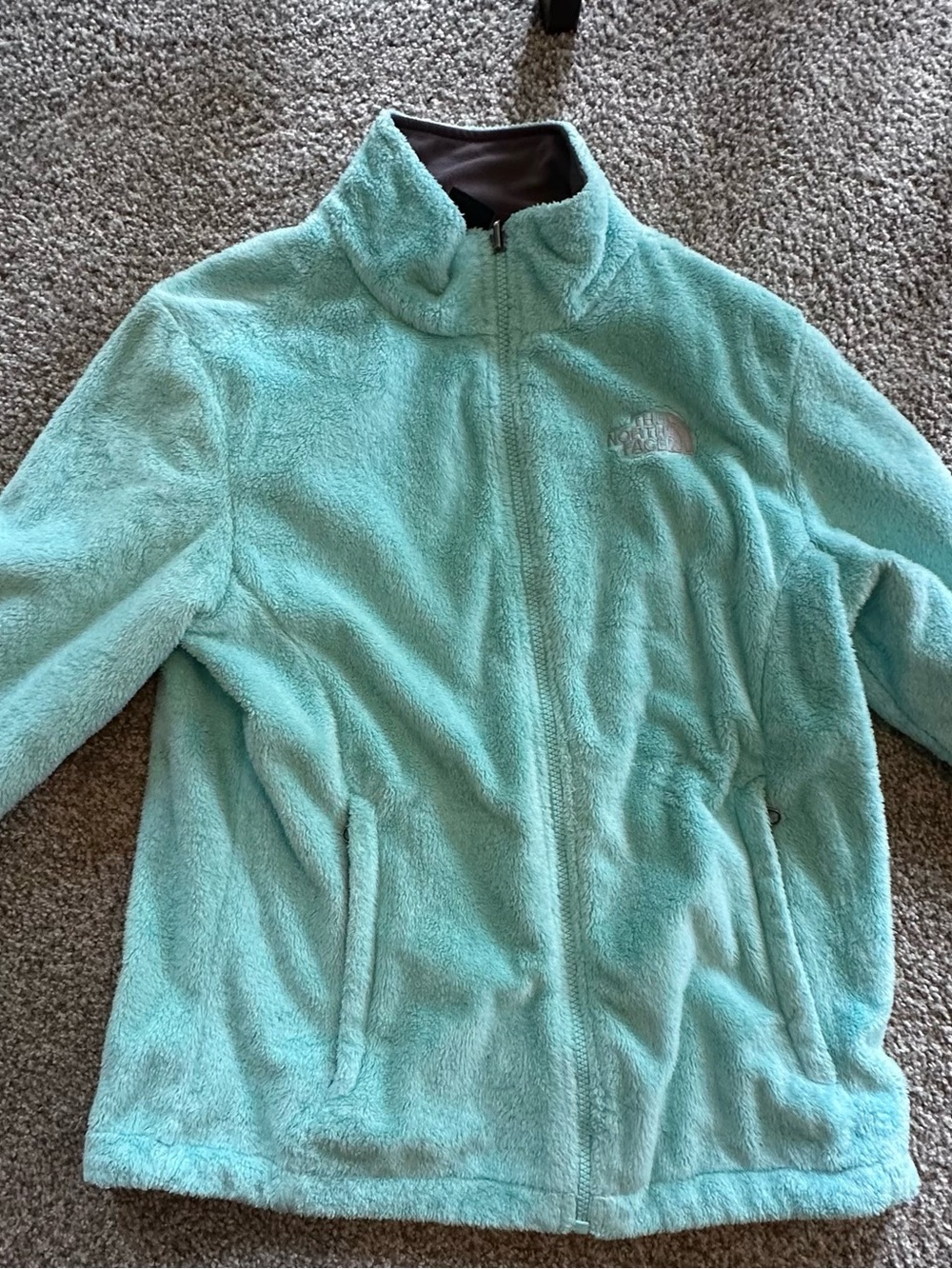 The North Face Teal Plush Full-Zip Fleece Jacket